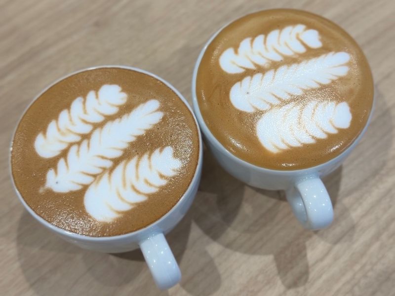 メリタ コラム 深山晋作バリスタによるダラコルテ研修
